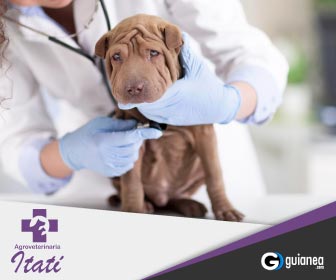 Clinica Veterinaria Agroveterinaria Itati Posadas