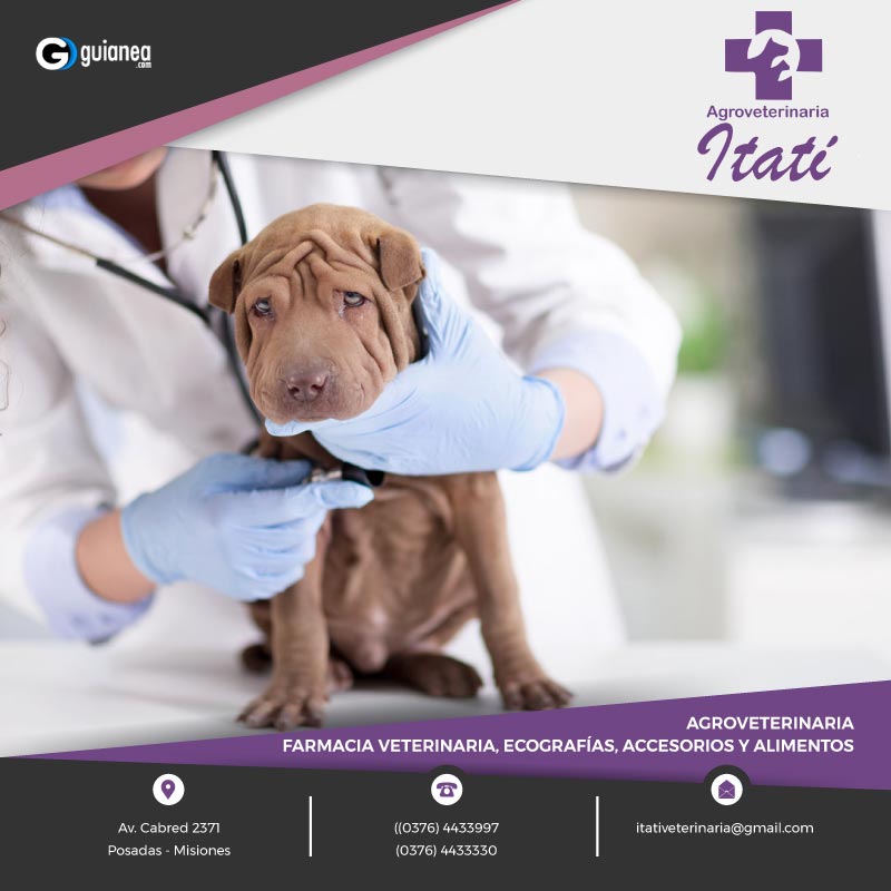 Veterinaria Itati Posadas Misiones