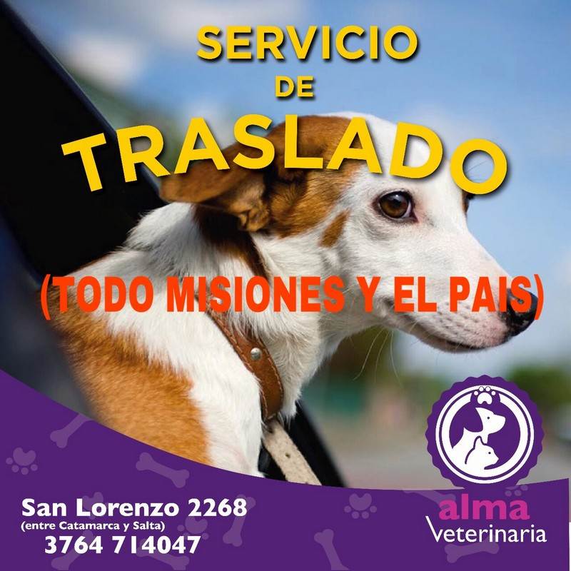 1traslado