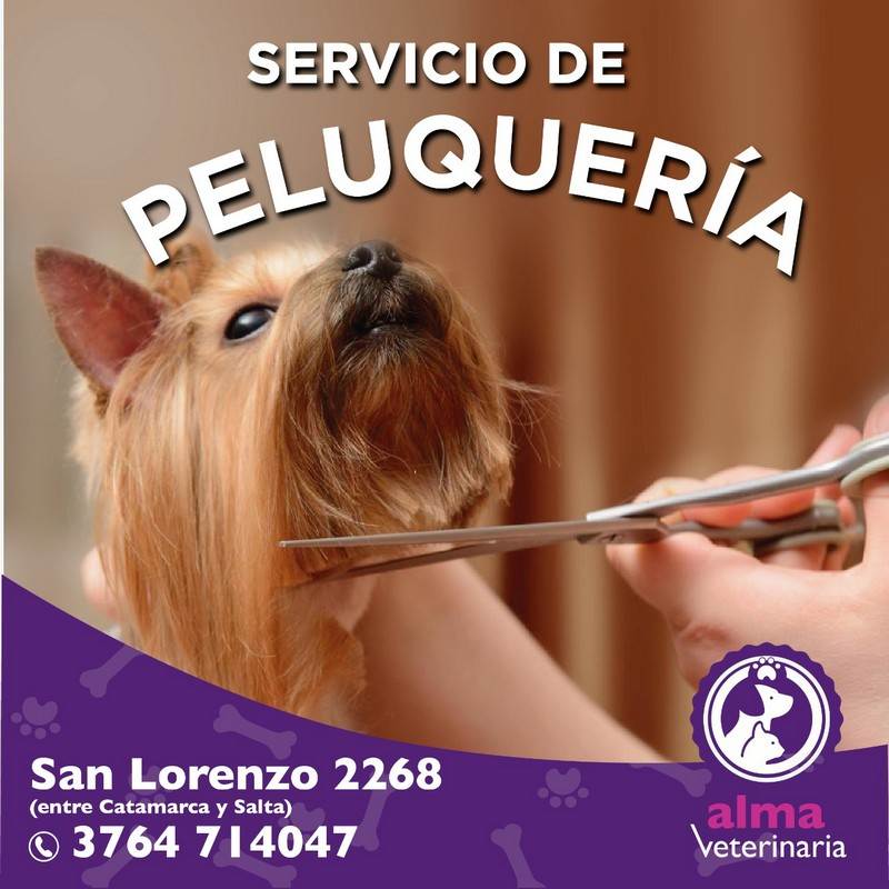 2peluqueria