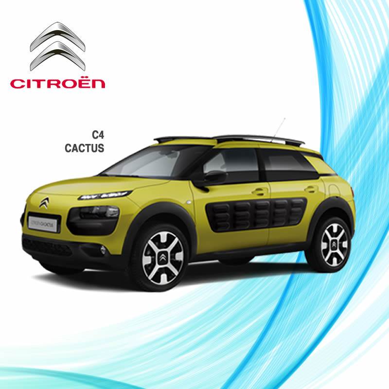 Plan de Ahorro Citroen Cabrera Ulises Posadas Misiones