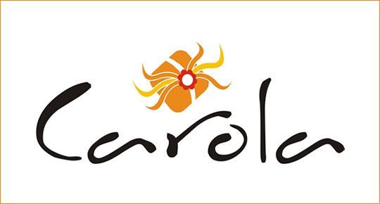 540x290carolaregaleria