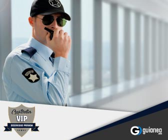 Custodia VIP Custodia y Defensa Personal Posadas Misiones