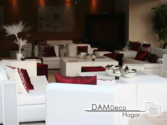 545x409damdecohora1