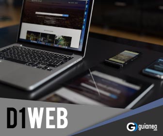 336x280d1web