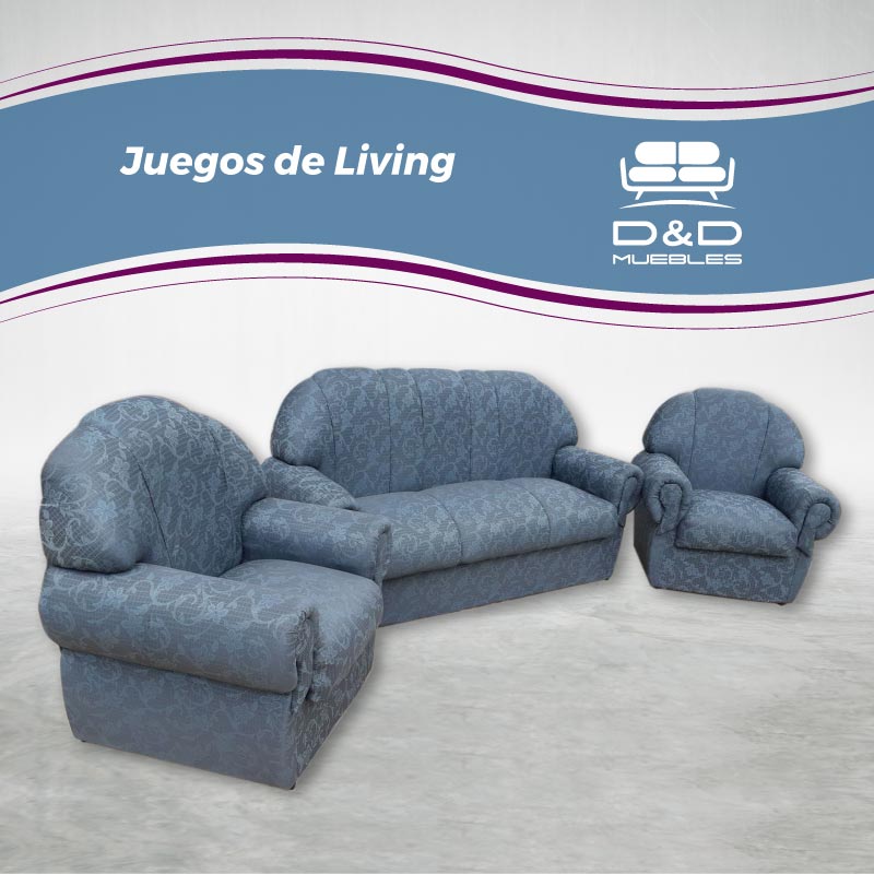 imagen6