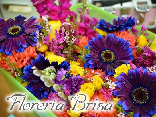 flores de la floreria en posadas misiones