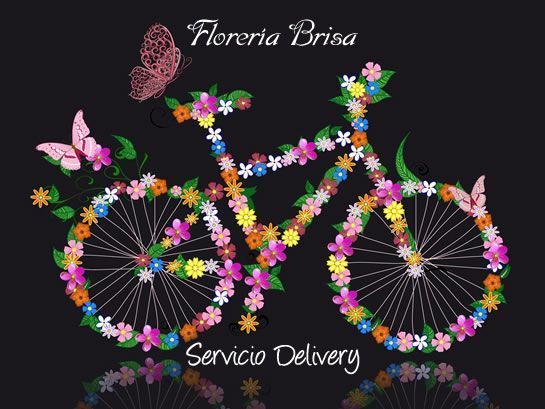 florerias a domicilio, el servicio delivery de flores de floreria brisa
