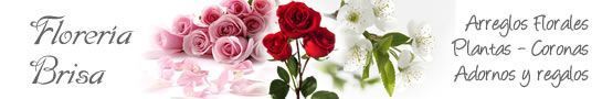 ponete en contacto con la floreria