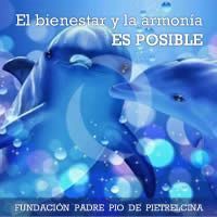 200X200fundacionpadrepio