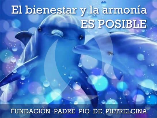 545X409fundacionpadrepio