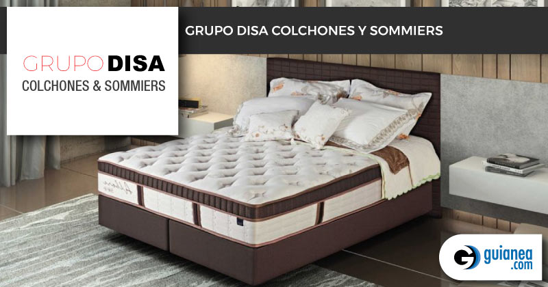 800x420grupodisacolchones2019