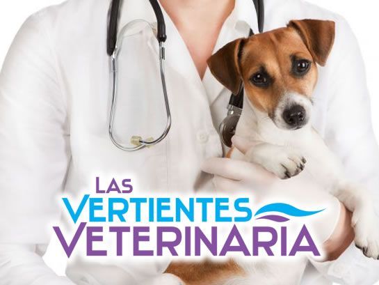 veterinarias posadas misiones las vertientes perros gatos mascotas alimentos balanceados baños cortes peluqueria canina