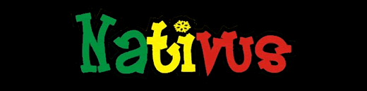 520x130nativussurfshop