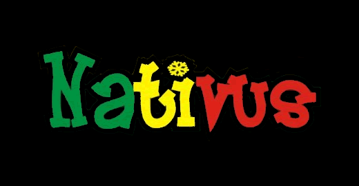 520x270nativussurfshop