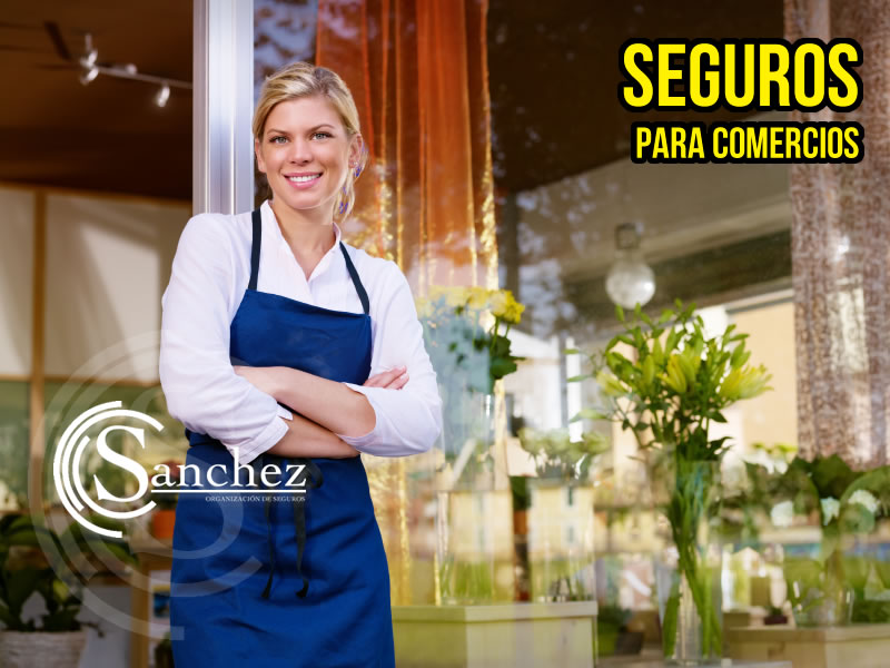 4seguroscomercios