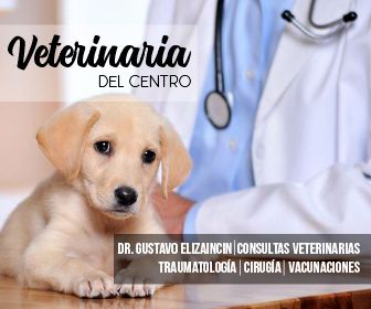 336x280veterinariadelcentro