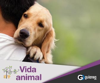 Veterinaria Vida Animal Posadas