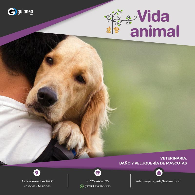 800x800vidaanimal1
